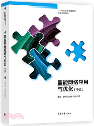 智能網絡應用與優化：中級（簡體書）