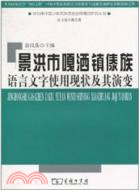 景洪市嘎灑鎮傣族語言文字使用現狀及其演變（簡體書）