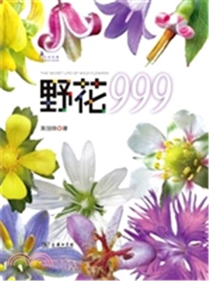 野花999（簡體書）