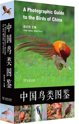 中國鳥類圖鑒（簡體書）