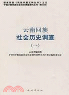 雲南回族社會歷史調查(一)（簡體書）