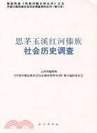 思茅玉溪紅河傣族社會歷史調查（簡體書）