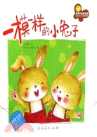 親親大社會叢書：一模一樣的小兔子（簡體書）