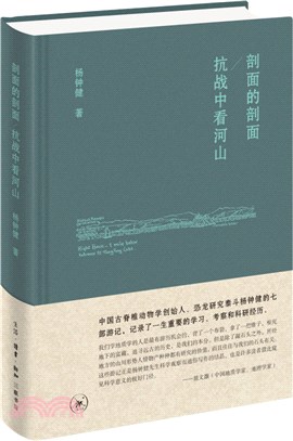 剖面的剖面 抗戰中看河山（簡體書）