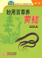 妙用百草養黃鱔（簡體書）