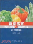 蔬菜病害識別檢索與疑似病害診治圖說（簡體書）