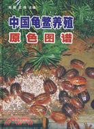 中國龜鱉養殖原色圖譜（簡體書）