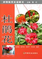 杜鵑花(彩圖版養花說明書)（簡體書）