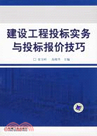 建設工程投標實務與投標報價技巧(簡體書)