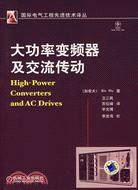 大功率變頻器及交流傳動（簡體書）