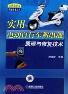 實用電動自行車蓄電池原理與修復技術（簡體書）