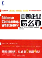 中國企業怎麼辦：目標、標桿對比和創新戰略（簡體書）