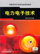 電力電子技術（簡體書）