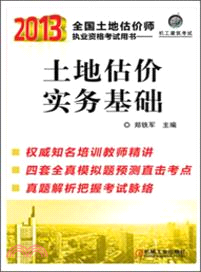 2013全國土地估價師執業資格考試用書：土地估價實務基礎（簡體書）