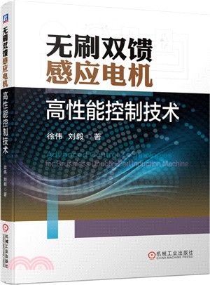 無刷雙饋感應電機高性能控制技術（簡體書）