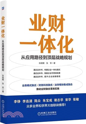 業財一體化：從應用路徑到頂層戰略規劃（簡體書）