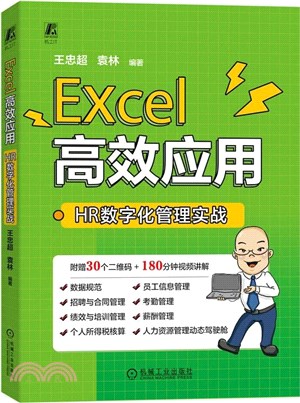 Excel高效應用：HR數字化管理實戰（簡體書）