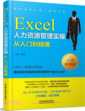 Excel人力資源管理實操從入門到精通（簡體書）