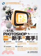 中文版Photoshop CS5從新手到高手（簡體書）