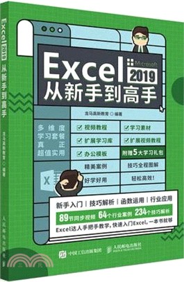 Excel 2019從新手到高手（簡體書）