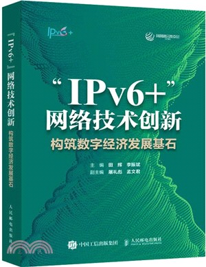 “IPv6+”網絡技術創新：構築數字經濟發展基石（簡體書）