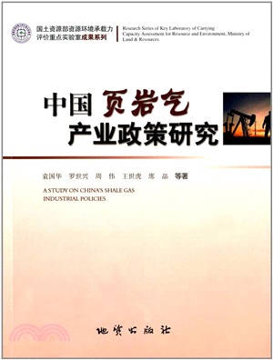 中國葉岩氣產業政策研究（簡體書）