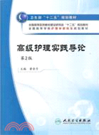 高級護理實踐導論(二版/研究生護理)（簡體書）