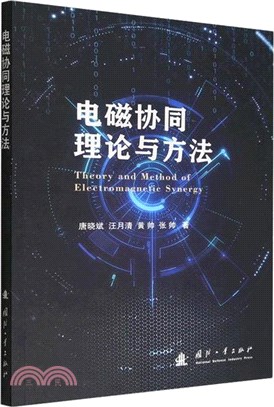 電磁協同理論與方法（簡體書）