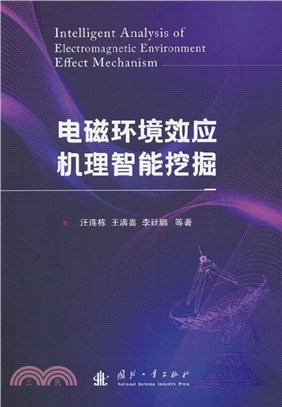 電磁環境效應機理智能挖掘（簡體書）