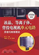 液晶、等離子體、背投電視機單元電路原理與維修圖說（簡體書）