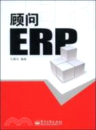 顧問ERP（簡體書）