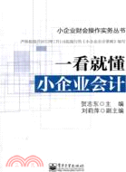 一看就懂小企業會計（簡體書）