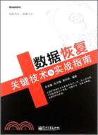 數據恢復關鍵技術與實戰指南（簡體書）