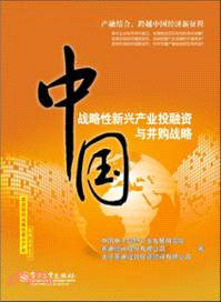中國戰略性新興產業投融資與并購戰略（簡體書）