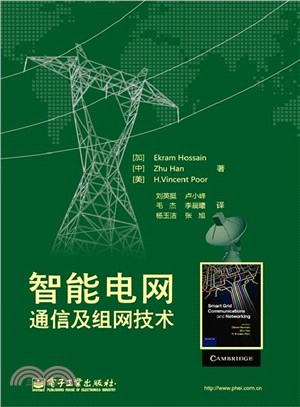 智能電網通信及組網技術（簡體書）