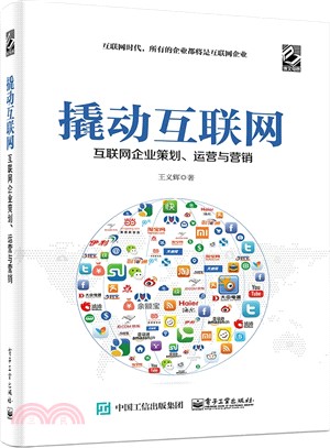 撬動互聯網：互聯網企業策劃、運營與行銷（簡體書）