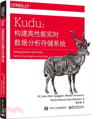 Kudu：構建高性能實時數據分析存儲系統（簡體書）