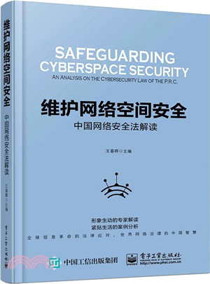 維護網絡空間安全：中國網絡安全法解讀（簡體書）