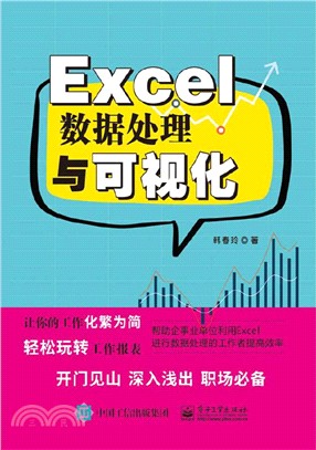 Excel數據處理與可視化（簡體書）