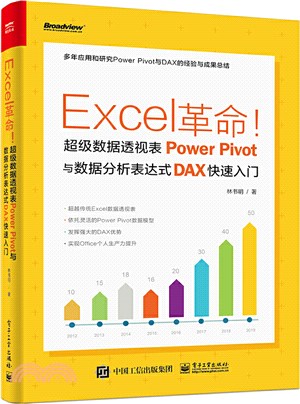 Excel革命！超級數據透視表Power Pivot與數據分析表達式DAX快速入門（簡體書）