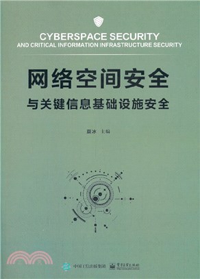 網絡空間安全與關鍵信息基礎設施安全（簡體書）