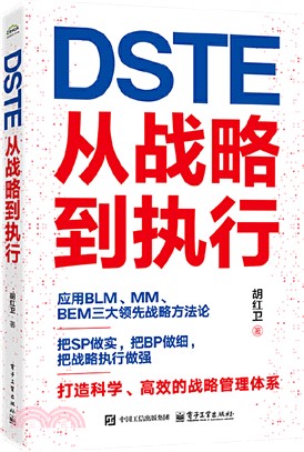 DSTE：從戰略到執行（簡體書）