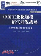 中國工業化規模沼氣開發戰略（簡體書）