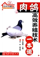 肉鴿高效養殖技術一本通（簡體書）