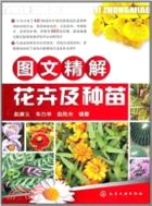 圖文精解花卉及種苗（簡體書）