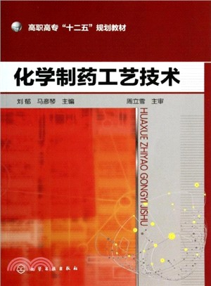 化學製藥工藝技術（簡體書）