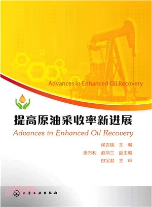 提高原油採收率新進展（簡體書）