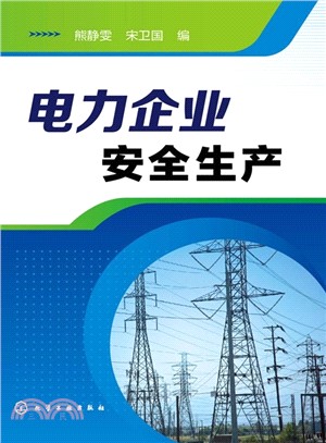 電力企業安全生產（簡體書）