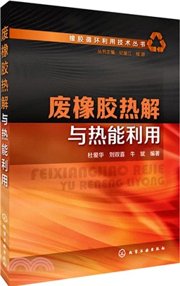 廢橡膠熱解和熱能利用（簡體書）