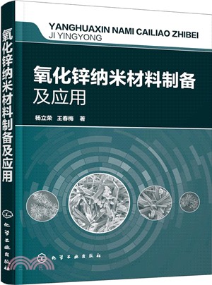 氧化鋅納米材料製備及應用（簡體書）